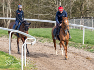 BP200326-15 - It's Hard To Know